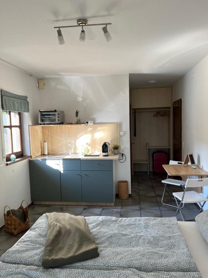 1 Zimmer Whg Waldfischbach エクステリア 写真